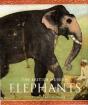 Elephants - Preview