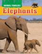 Elephants - Preview