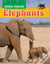 Capa do artigo Elephants