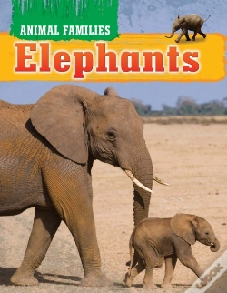 Capa do artigo Elephants