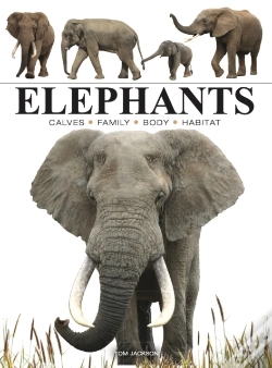 Capa do artigo Elephants