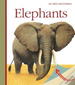 Capa do artigo Elephants