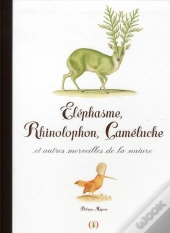 Elephasme, Rhinolophon, Cameluche Et Autres Merveilles De La Na