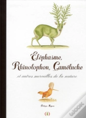 Capa do artigo Elephasme, Rhinolophon, Cameluche Et Autres Merveilles De La Na