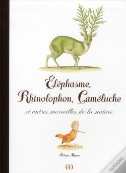 Capa do artigo Elephasme, Rhinolophon, Cameluche Et Autres Merveilles De La Na