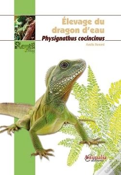 Capa do artigo Elevage Du Dragon D Eau ; Physignathus Cocincinus