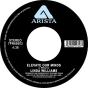 Elevate Our Minds - Vinil - Preview