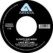 Capa do artigo Elevate Our Minds - Vinil