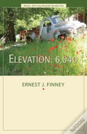 Capa do artigo Elevation