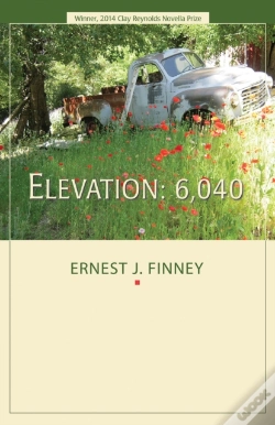 Capa do artigo Elevation