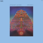 Capa do artigo Elevation - Vinil
