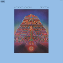 Capa do artigo Elevation - Vinil