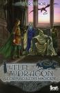 Elfe Au Dragon Tome 6 ; Le Crépuscule Des Mages - Preview
