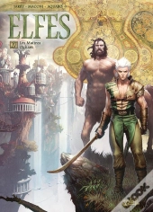 Elfes Tome 27 : Les Maîtres Ogham