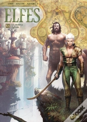 Capa do artigo Elfes Tome 27 : Les Maîtres Ogham