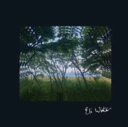 Capa do artigo Eli Winter - Vinil