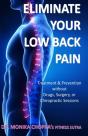 Eliminate Your Low Back Pain - Preview