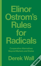 Capa do artigo Elinor Ostrom