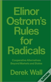 Capa do artigo Elinor Ostrom