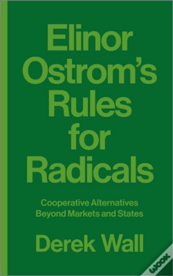 Capa do artigo Elinor Ostrom'S Rules For Radicals