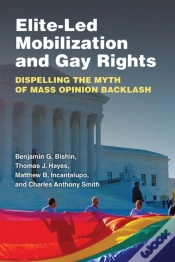 Capa do artigo Elite-Led Mobilization And Gay Rights