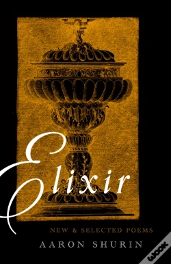 Capa do artigo Elixir