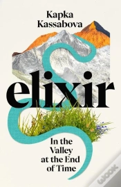Capa do artigo Elixir