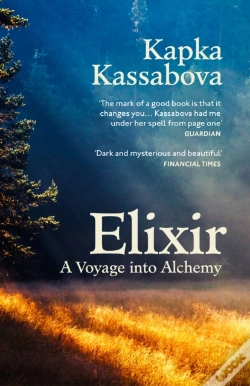 Capa do artigo Elixir