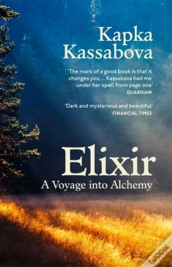 Capa do artigo Elixir