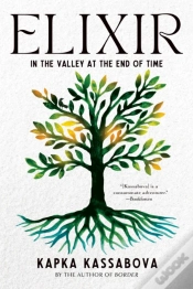 Capa do artigo Elixir