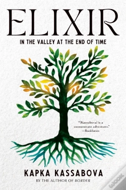 Capa do artigo Elixir