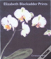 Capa do artigo Elizabeth Blackadder Prints