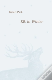 Elk In Winter