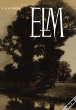 Capa do artigo Elm