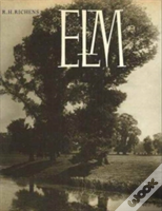 Elm