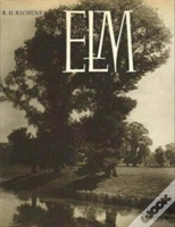 Capa do artigo Elm