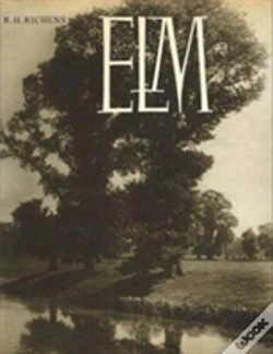 Capa do artigo Elm