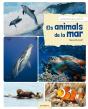 Els Animals De La Mar - Preview