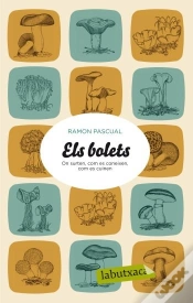 Capa do artigo Els Bolets
