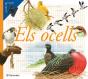 Els Ocells - Preview
