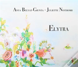 Capa do artigo Elytra