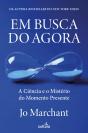Em Busca do Agora - Preview
