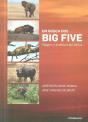 Em Busca dos Big Five - Preview