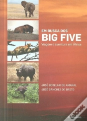 Capa do artigo Em Busca dos Big Five