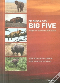 Capa do artigo Em Busca dos Big Five