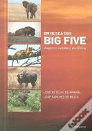 Em Busca dos Big Five