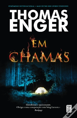 Capa do artigo Em Chamas