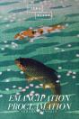 Emancipation Proclamation - Preview