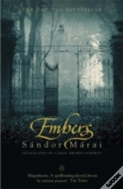 Capa do artigo Embers