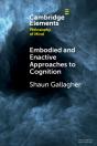 Embodied And Enactive Approaches To Cognition - Preview